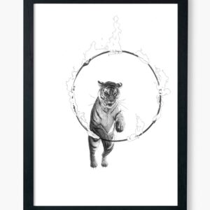 Mujeres y otros animales